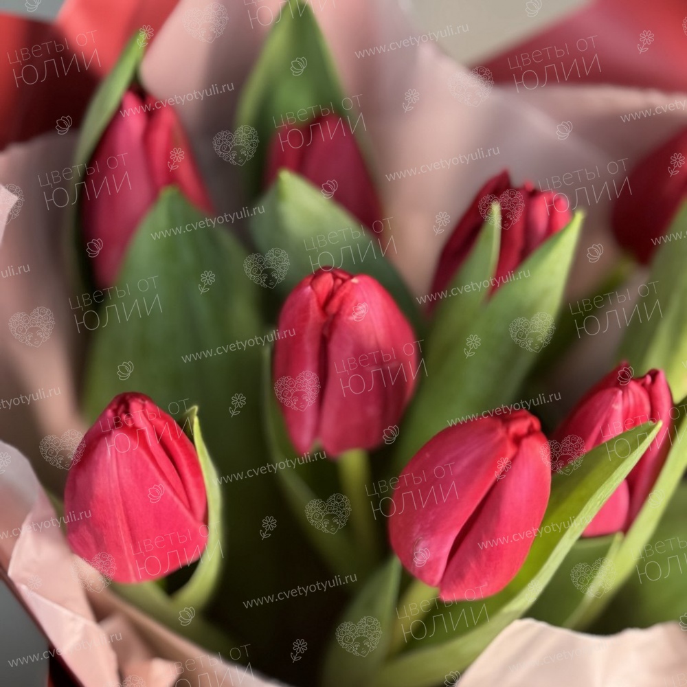 Букет из 11 красных тюльпанов