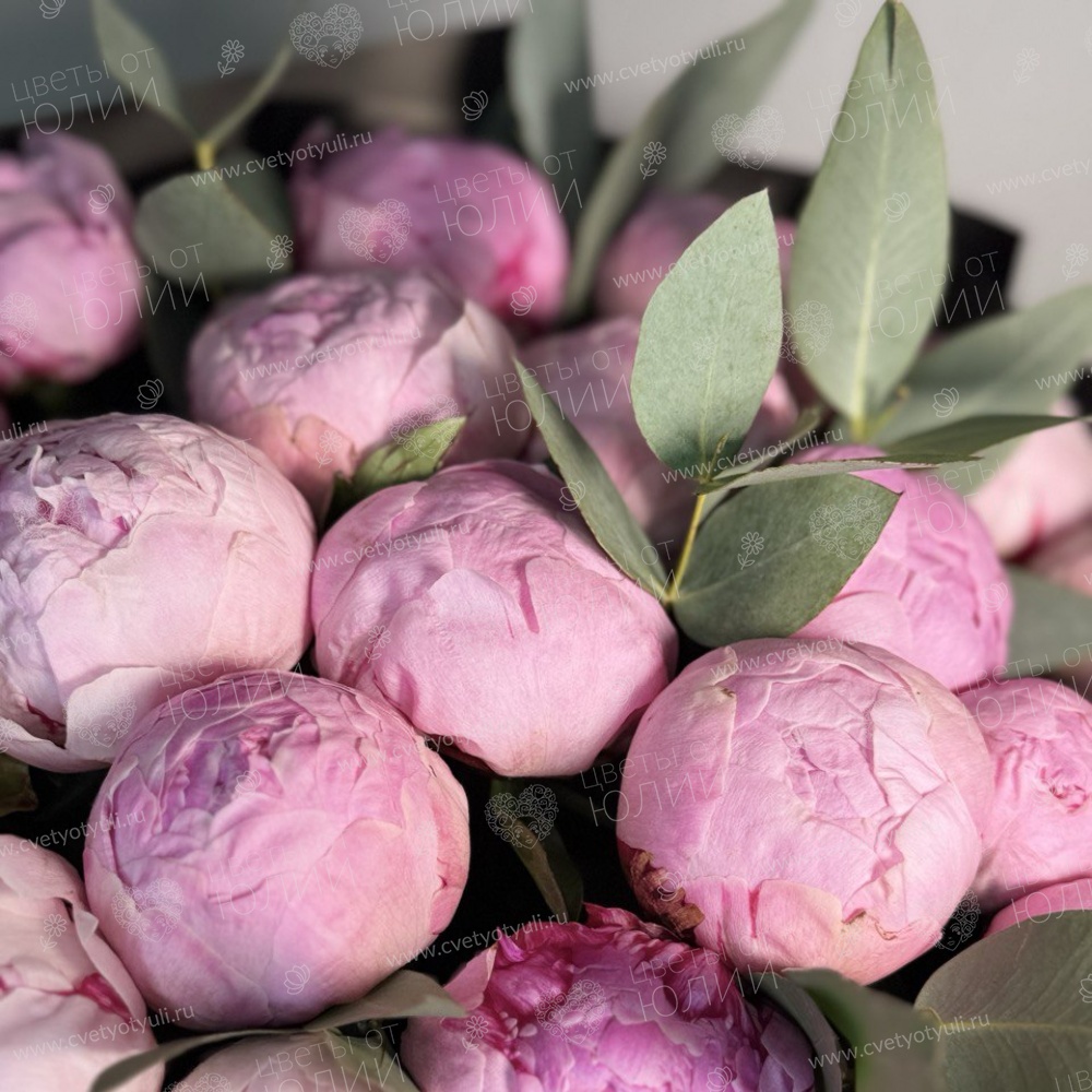 Букет из 21 пиона