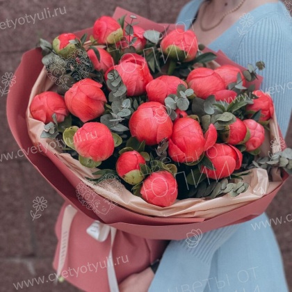 19 коралловых пионов с эвкалиптом