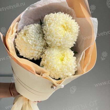 Букет из 3 одноголовых хризантем