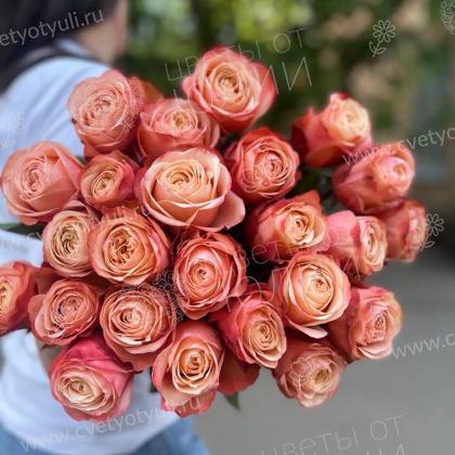 25 роз 60 см Кахала пачка в Калуге