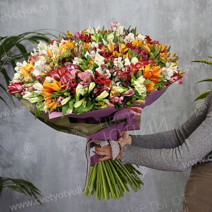 Букет из 101 альстромерий