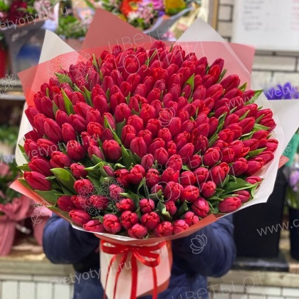 Букет из 101 красного тюльпана