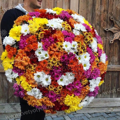 Букет из 101 кустовой хризантемы