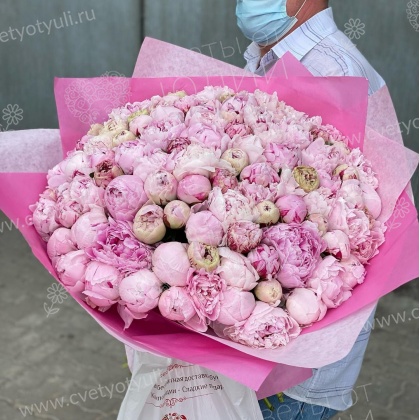 Букет из 101 пиона Анис