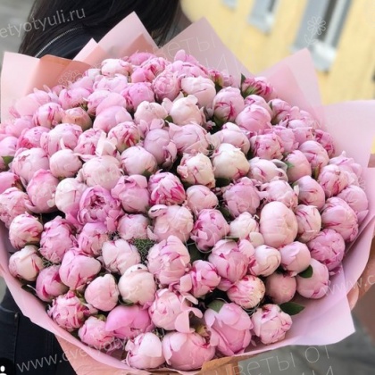 Букет из 101 пиона