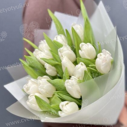 Букет из 15 белых тюльпанов