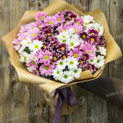 Букет из 15 кустовых хризантем