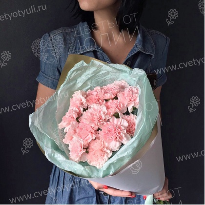 Букет из 15 розовых гвоздик