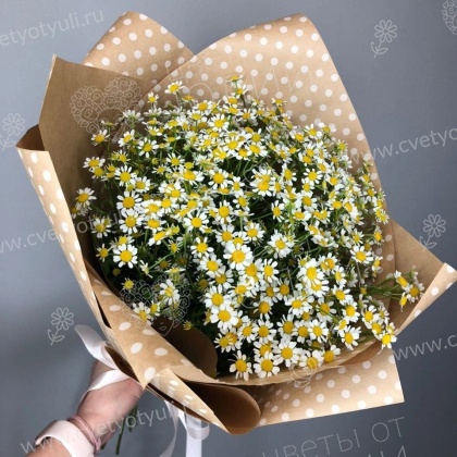 Букет из 15 веток танацетума