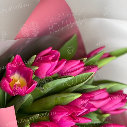 Букет из 15  красных тюльпанов