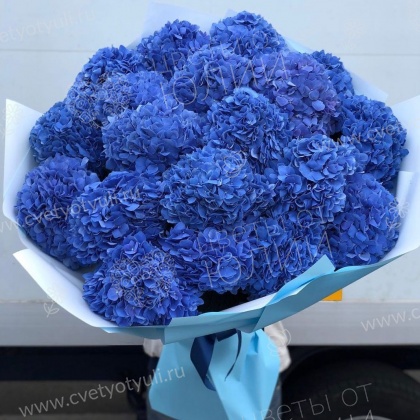 Букет из 19 синих гортензий