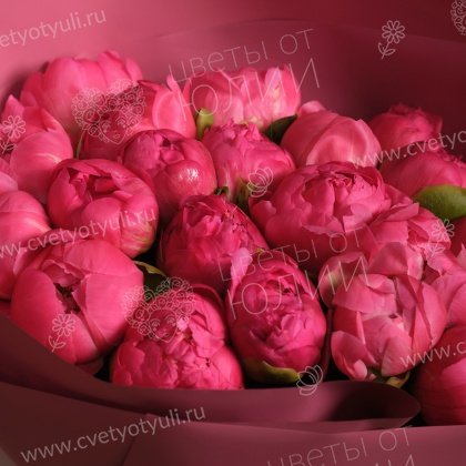 Букет из 25 коралловых пионов