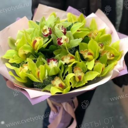 Букет из 25 орхидей цимбидиум