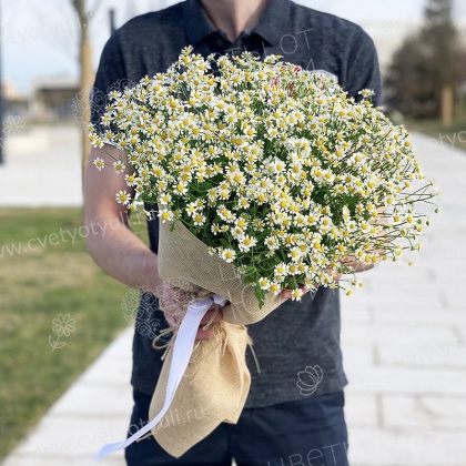 Букет из 25 полевых ромашек