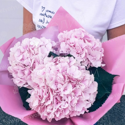 Букет из 3 розовых гортензий.