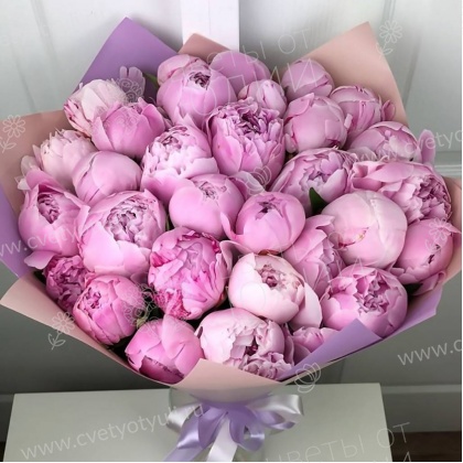 Букет из 33 пионов