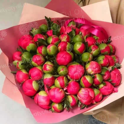 Букет из 45 коралловых пионов