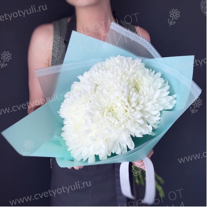 Букет из 5 больших хризантем Иголочка