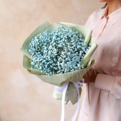 Букет из 5 гипсофил Воздушное облако