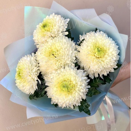 Букет из 5 круглых хризантем