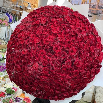 Букет из 501 розы 80 см