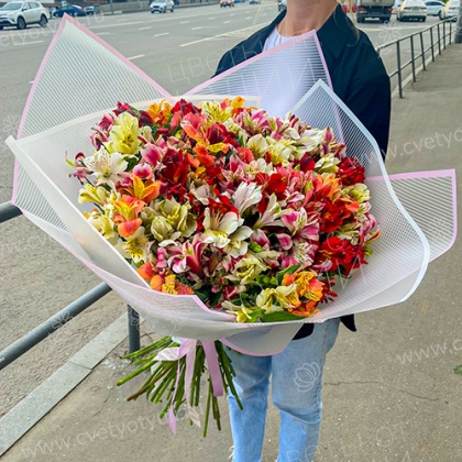 Букет из 51 альстромерий