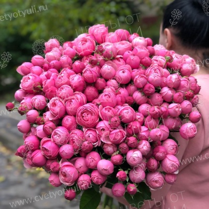 Букет из 51 кустовой пионовидной розы