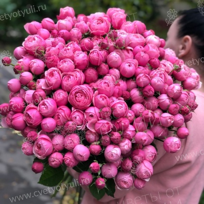 Букет из 51 кустовой пионовидной розы