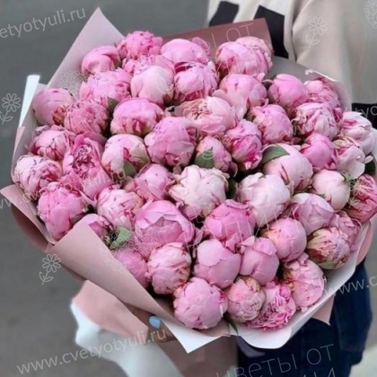 Букет из 51 пиона