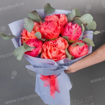 Букет из 7 коралловых пионов с эвкалиптом