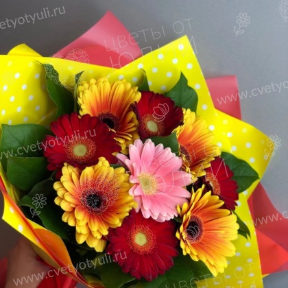 Букет из 9 гербер