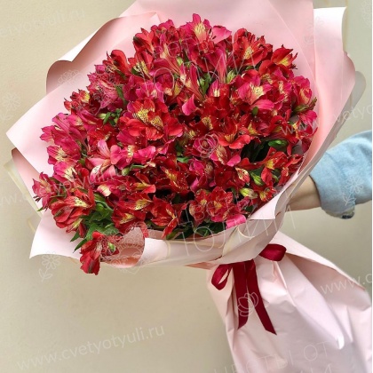 Букет из красных альстромерий Клеопатра