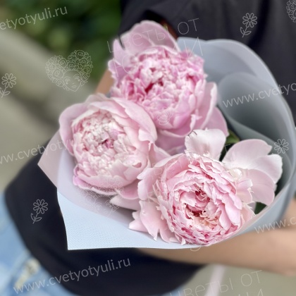 Букет из пионов Ренита