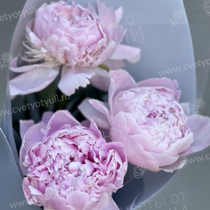 Букет из пионов Ренита