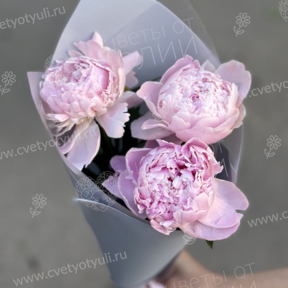 Букет из пионов Ренита
