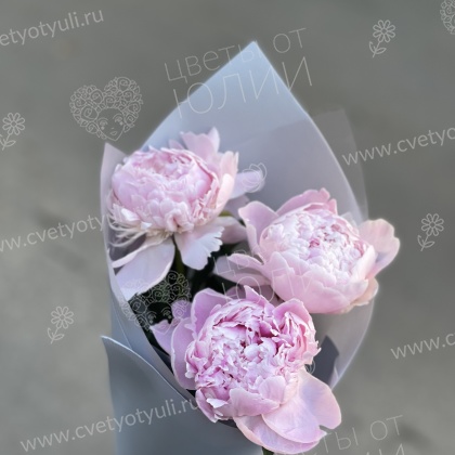 Букет из пионов Ренита
