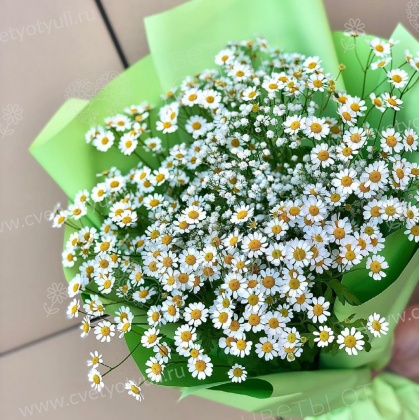 Букет из ромашек Белла