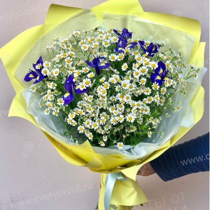 Букет из ромашек и ирисов Дафна