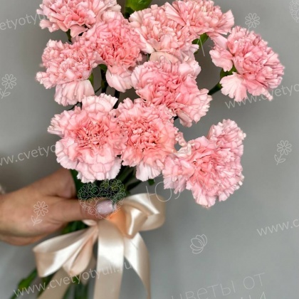 Букет Розовые диантусы 11 шт