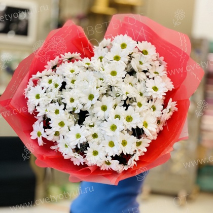 Букет Сердце из 19 кустовых хризантем