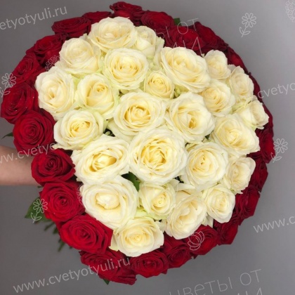 Букет  из 51 красно-белой розы 50 см