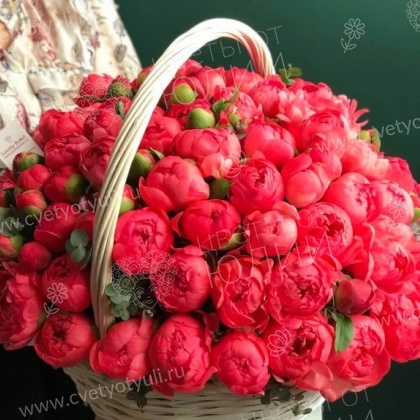 Коралловые пионы в корзине - 101 шт