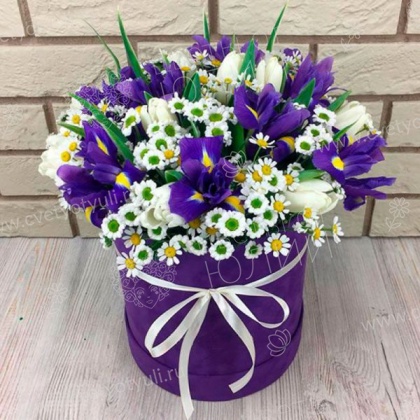 Коробка ирисы с ромашками