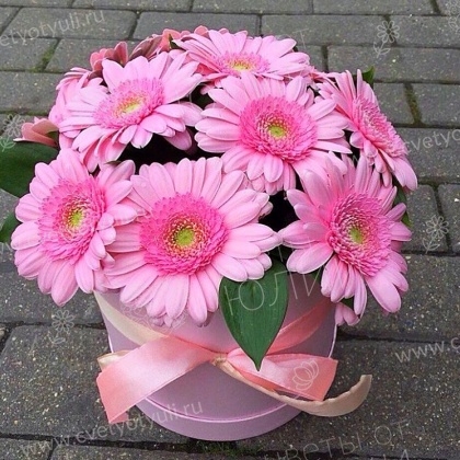 Коробка из 11 гербер с зеленью