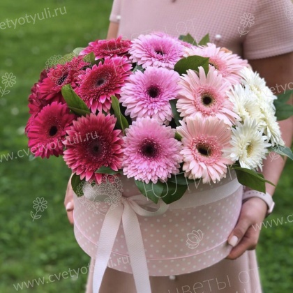 Коробка из 25 гербер с зеленью