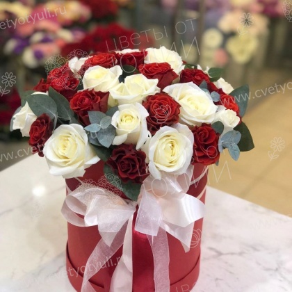 Коробка из 31 красно-белой розы Калипсо