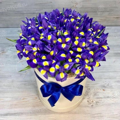 Коробка из 51 ириса