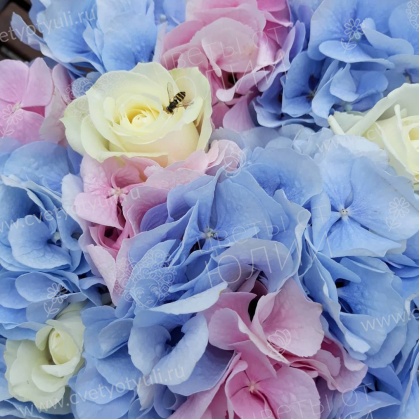 Коробка из гортензии и розы