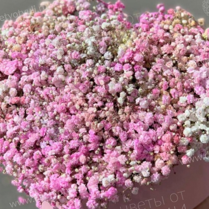 Коробка Сердце из розовых гипсофил